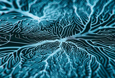 Neural pathways graphic