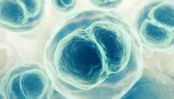 3D illustration of cells splitting.