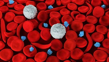 render of sickle cell blood cells