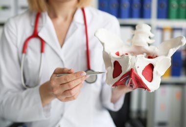 Doctor pointing to a female pelvis diagram