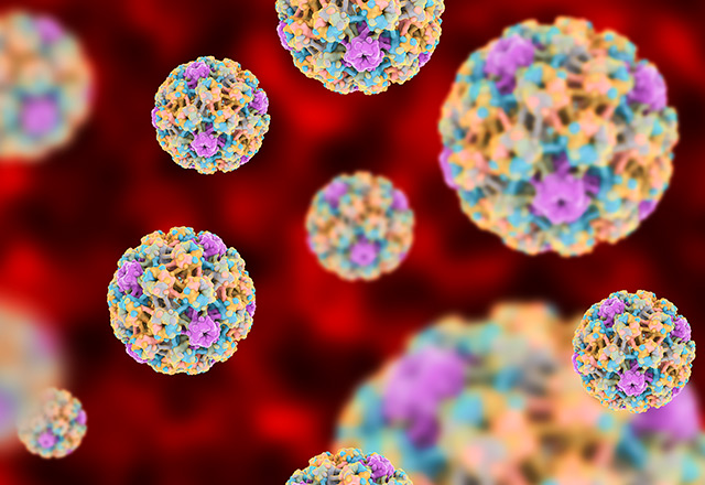 HPV virus