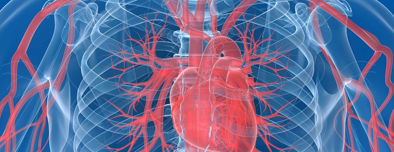 render image of heart and valves