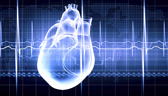 how does the cardiovascular system use energy