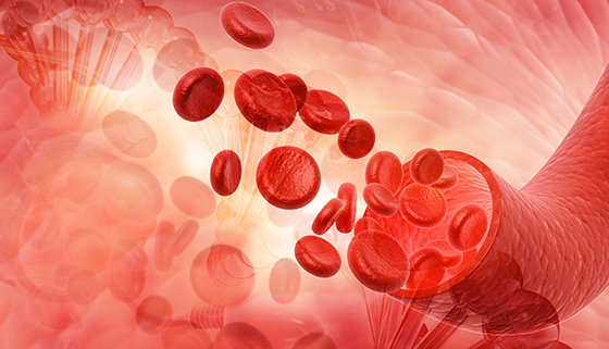 Hemolytic Anemia | Johns Hopkins Medicine