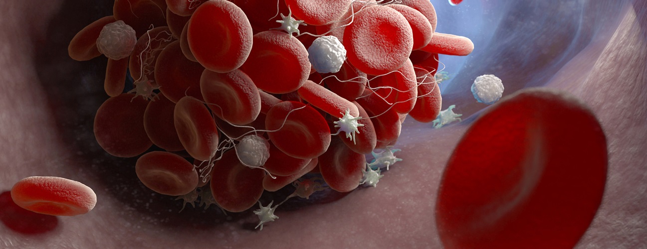 what are platelets - 3d rendering of blood cells in vessel