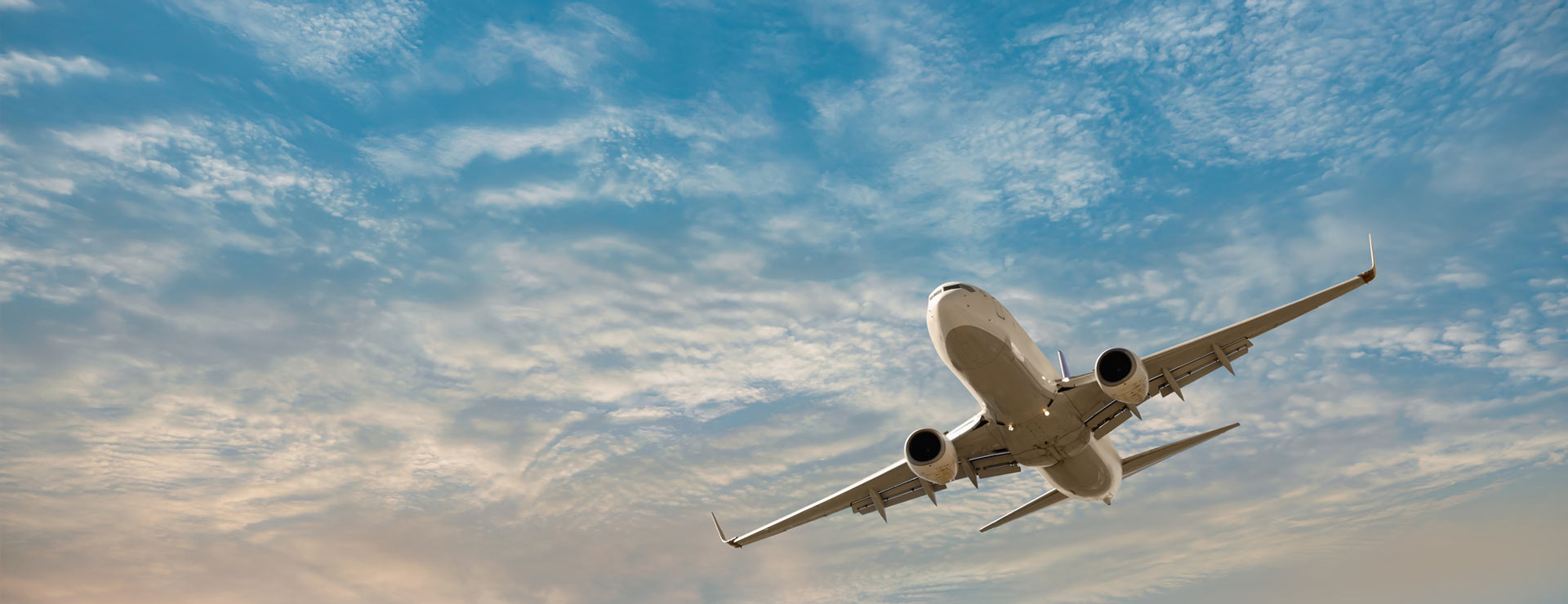 Airplane flying in the sky