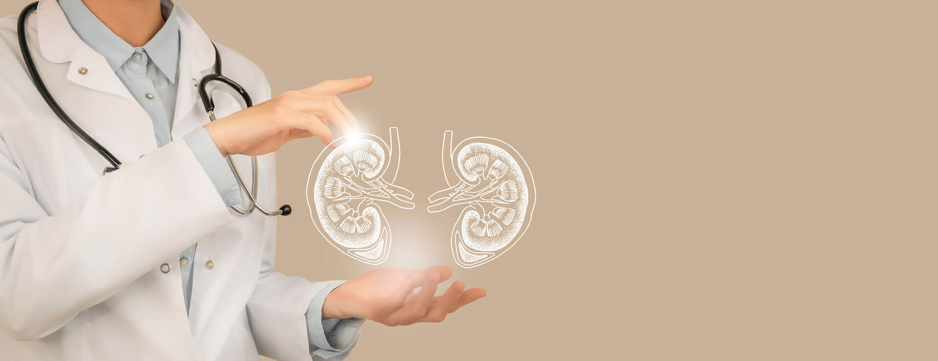 a doctor holds a virtual illustration of kidney