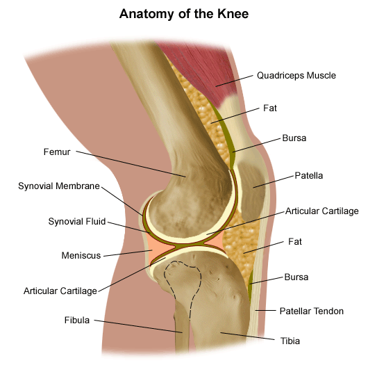 Patellofemoral Pain Syndrome (Runner's Knee) | Johns Hopkins Medicine