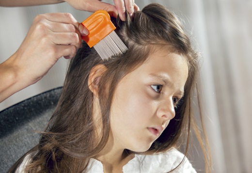 A mother using a comb to look for head lice.