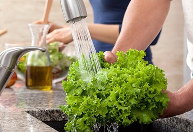 Washing lettuce under a faucet