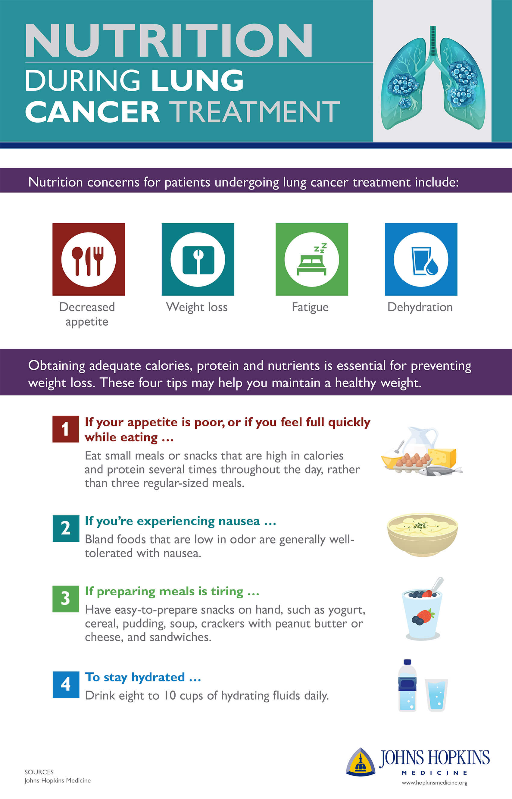 An infographic detailing nutrition during lung cancer treatment.