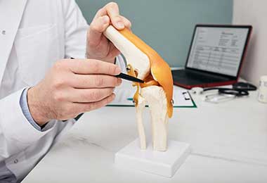 A doctor uses a pen to point at a knee joint model, identifying the meniscus. Background includes a laptop and stethoscope.