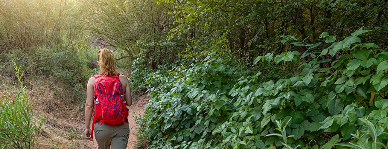 Woman hiking through a lush wooded area