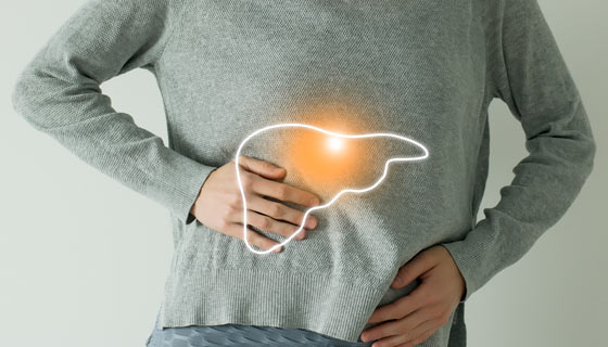 Graphic depiction of a liver over a person's torso