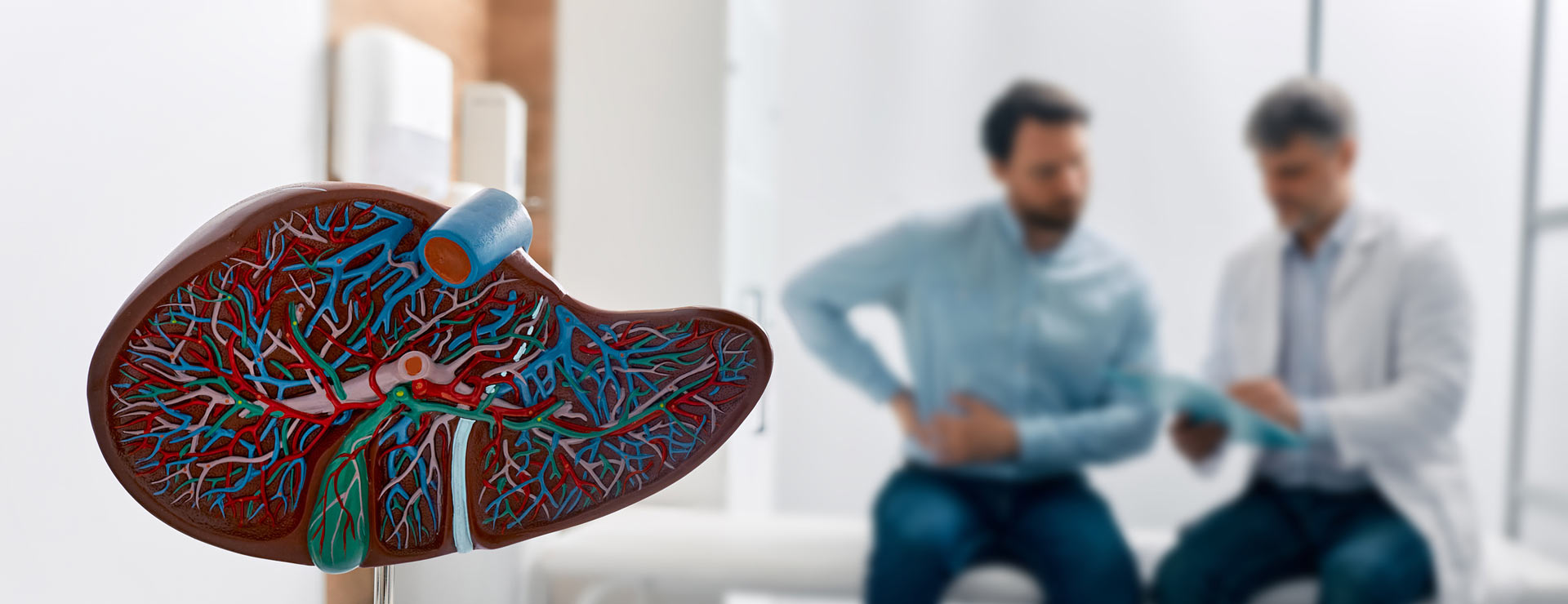 Model of a liver with a doctor and patient talking about the patient's side pain in the background