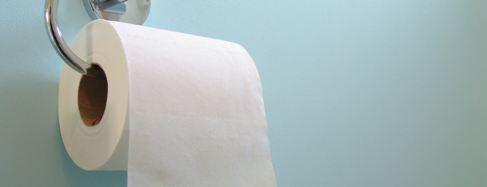 Toilet paper hanging in a bathroom