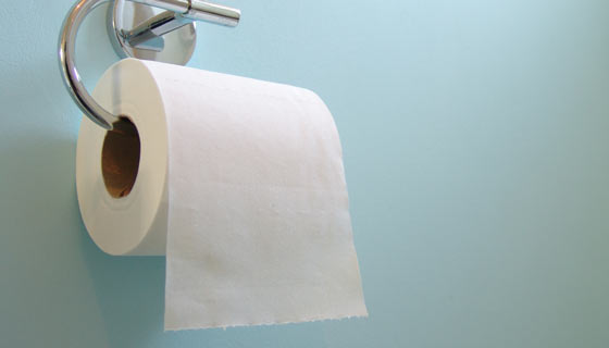 Toilet paper hanging in a bathroom
