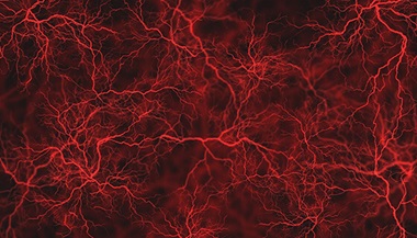 Photo of veins.
