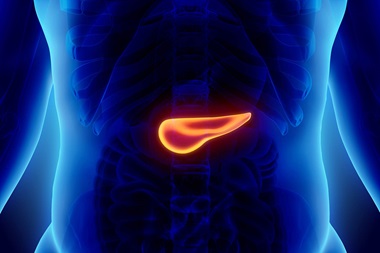 Scan of the abdomen and pancreas, showing where in the body patients would experience pancreatic cancer symptoms