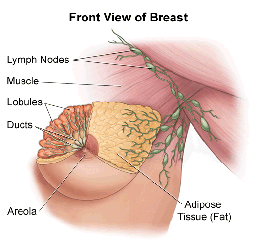 Becoming one with your boobs means knowing any time there's a change in  your breasts. The sooner you report breast changes to your doct
