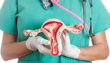 person in scrubs holds anatomical model of the uterus