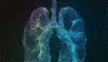 An illustration of lungs.