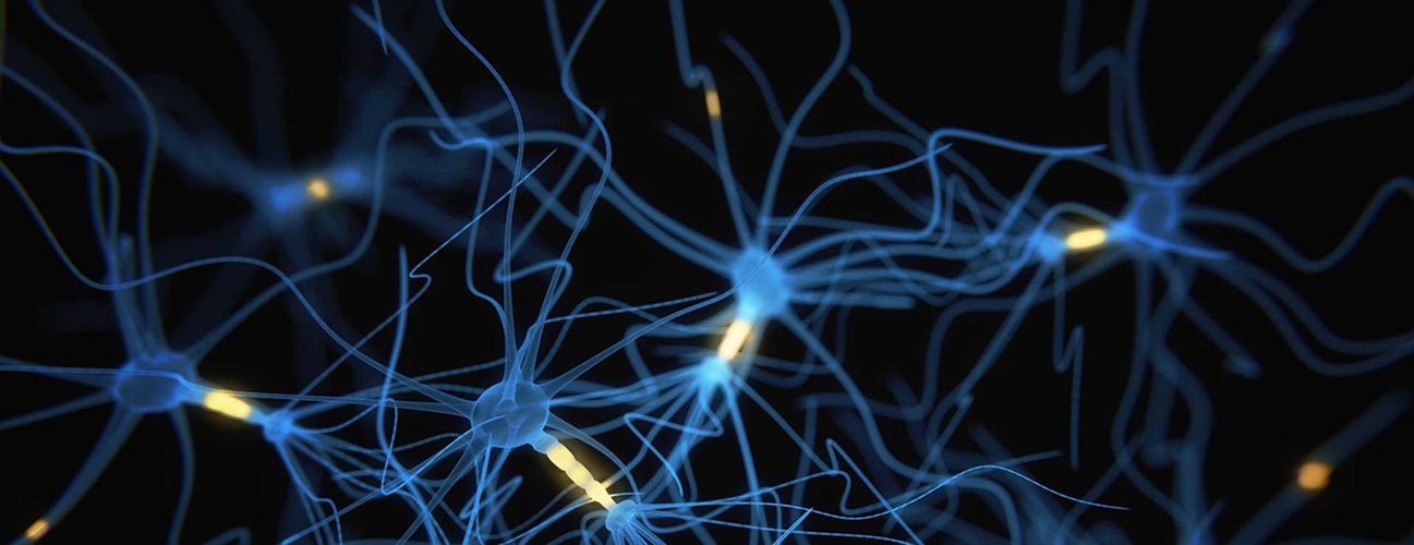 closeup image of neurons