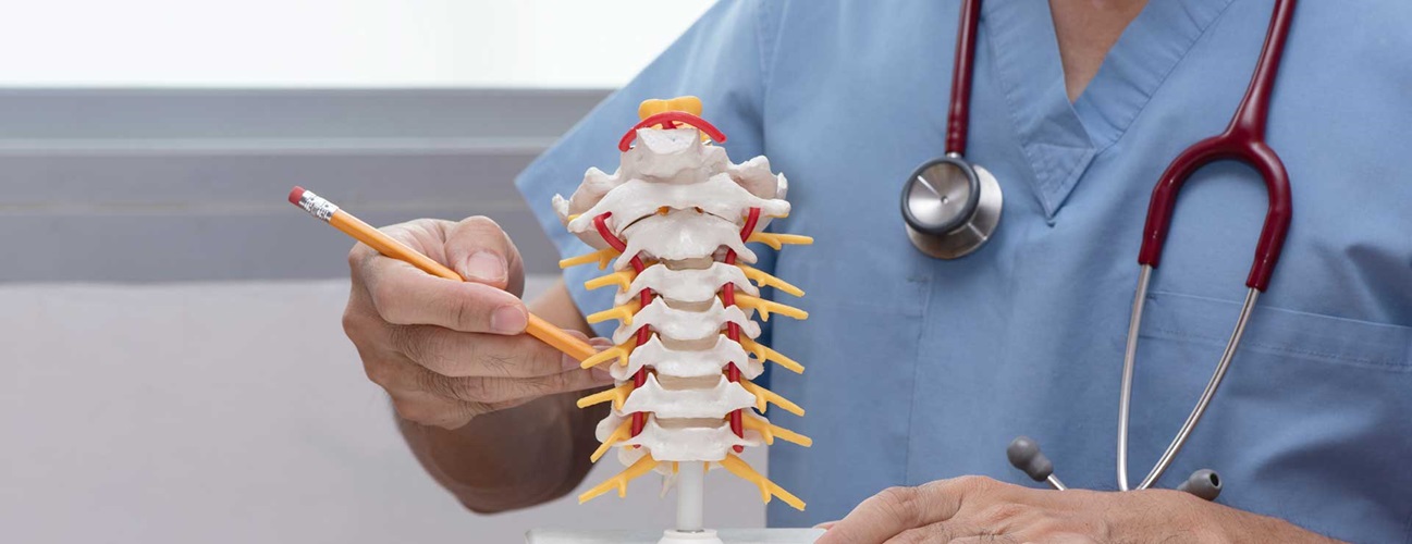 Doctor pointing to spine model.