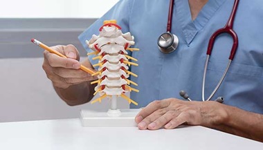 Doctor pointing to spine model.