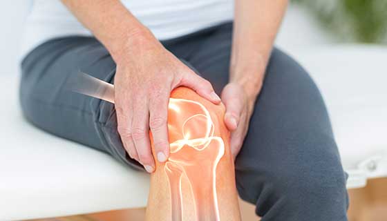 Knee Pain and Problems | Johns Hopkins Medicine