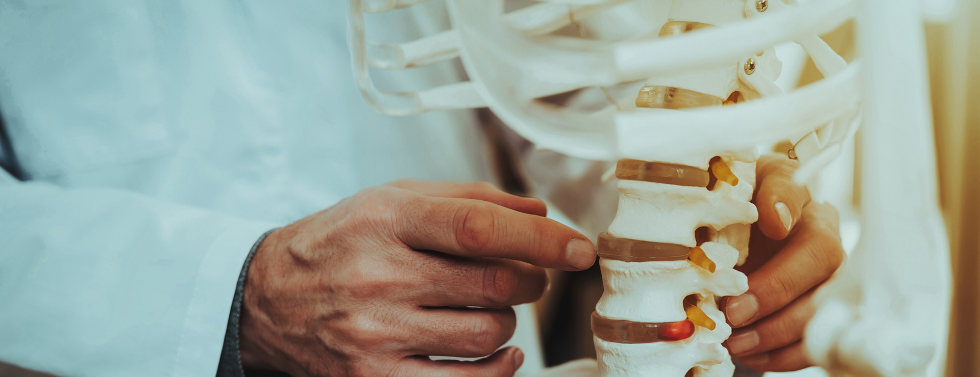 Doctor pointing to spinal disc