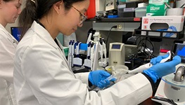 A research using a pipette to transfer liquid into a test tube.