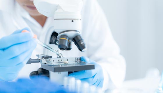 Scientist researching in a laboratory