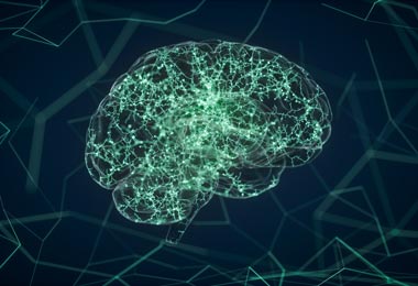 3D Illustration of a brain