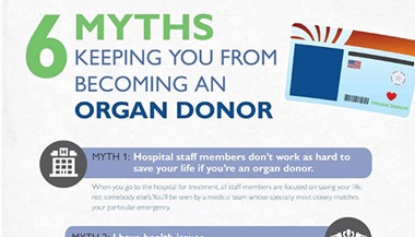 Preview of organ donation infographic.