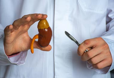 Doctor with a scalpel pointing to a model of a kidney