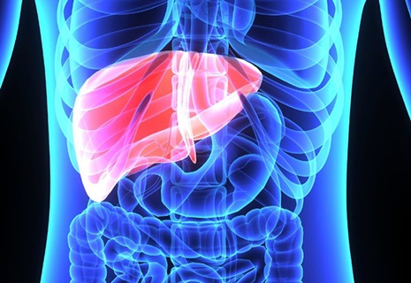 Image result for abnormal liver
