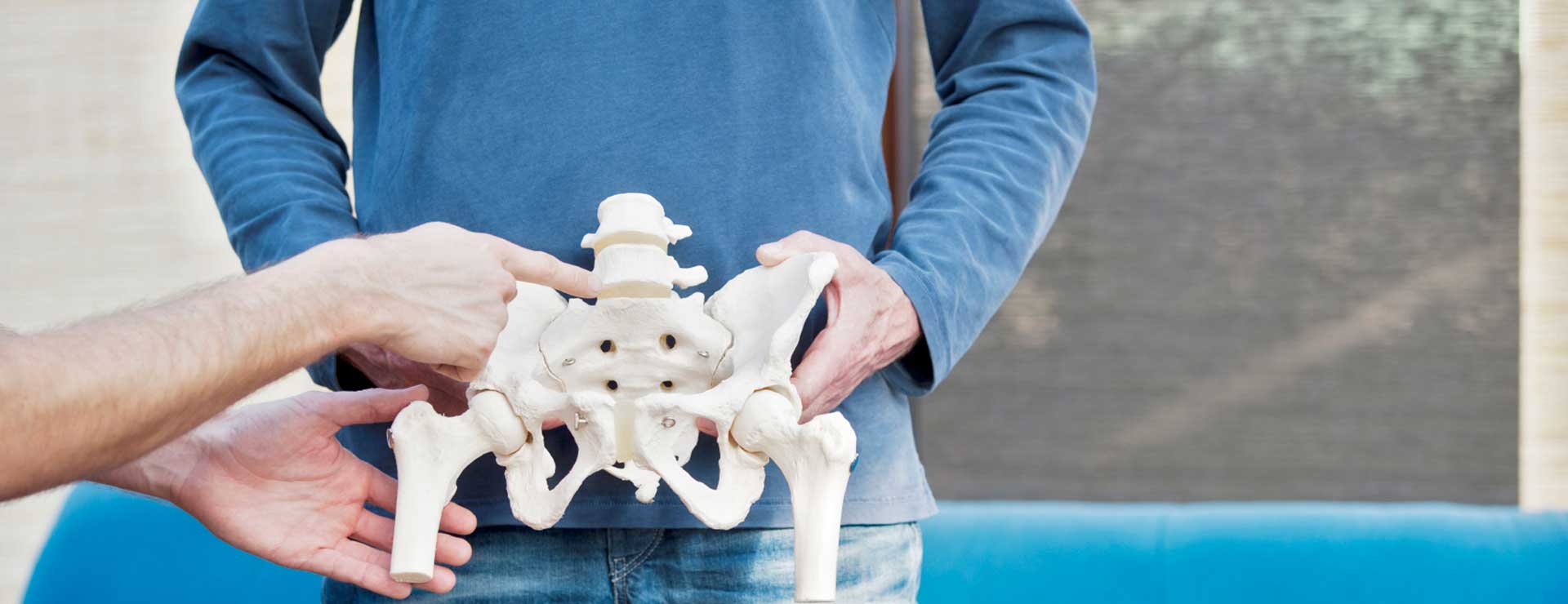 man holding sample pelvic bone