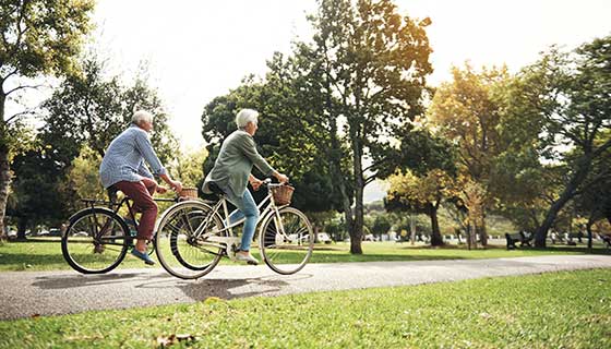 Old couple riding bicycles in a park