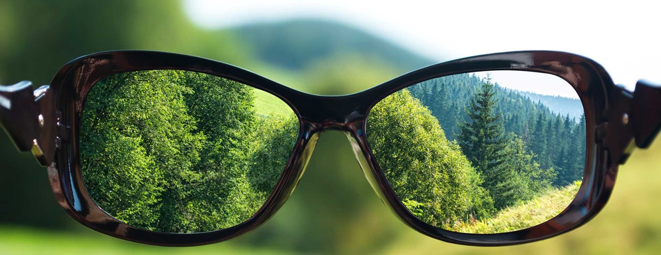 Prescription glasses held against a forest background