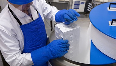 a man removes samples from a liquid nitrogen tank