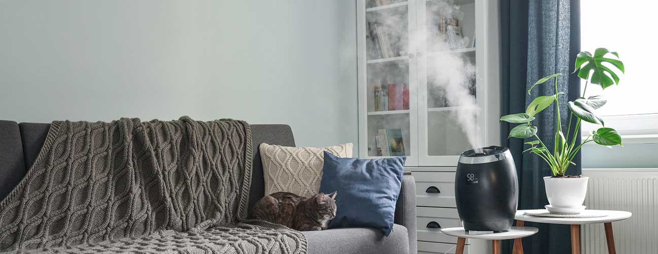 Humidifier running in a cozy living room while a cat naps nearby on a gray sofa