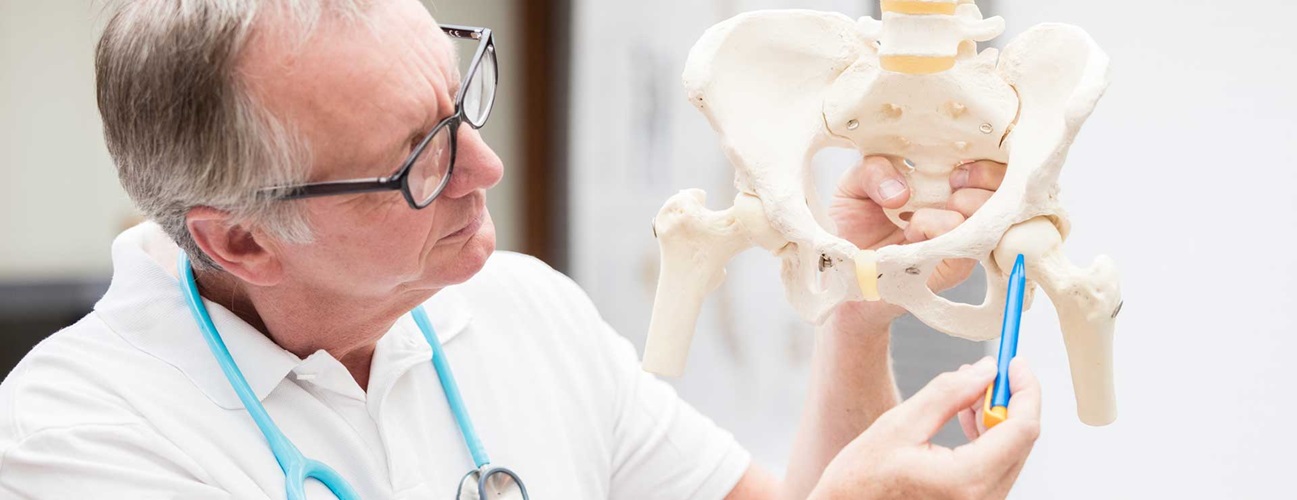 Doctor pointing to hip joint model.