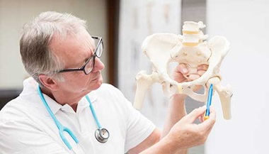 Doctor pointing to hip joint model.