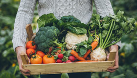 Crate full of vegetables
