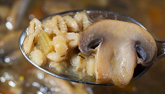 Spoonful of mushroom and barley