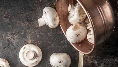 Mushrooms in a sauce pot 