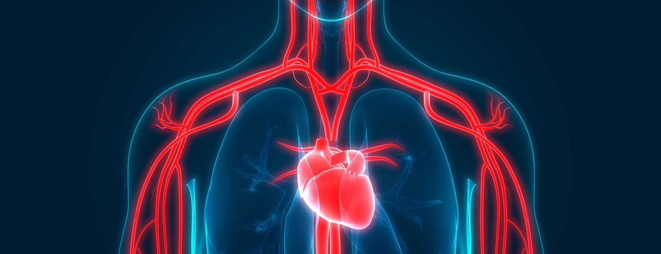 Cải thiện sức khỏe tim mạch | viamclinic.vn