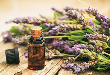 best smelling essential oil blends