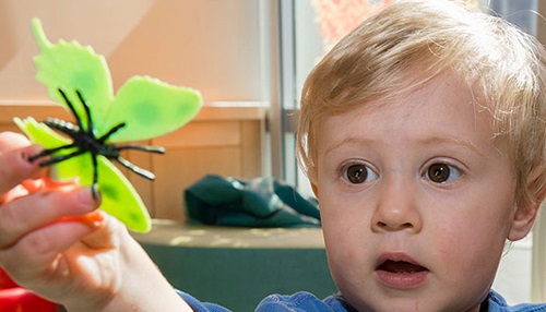 A boy playing with a toy bug